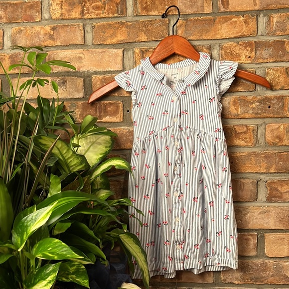 CARTER’S TODDLER GIRL 4T BUTTON-DOWN DRESS. EXCELLENT CONDITION. - Picture 2 of 5